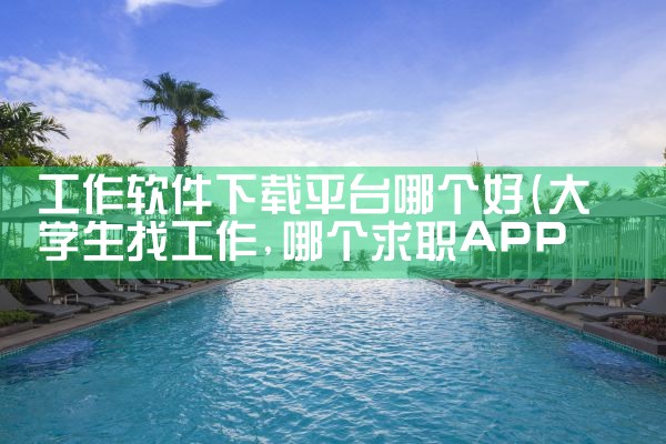 工作软件下载平台哪个好|MR好色