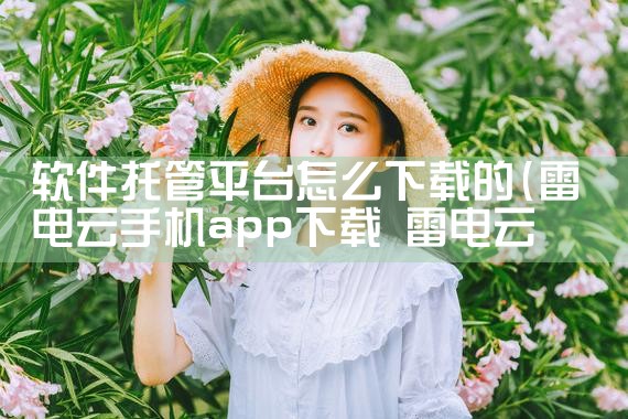 软件托管平台怎么下载的|P站专业版