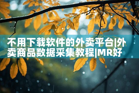 不用下载软件的外卖平台|MR好色