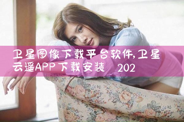 卫星图像下载平台软件|P站专业版