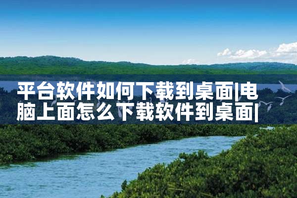 平台软件如何下载到桌面|P站专业版