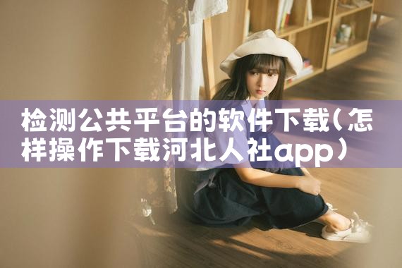 检测公共平台的软件下载|P站专业版