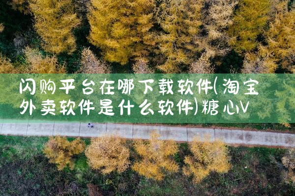 闪购平台在哪下载软件|糖心Vlog