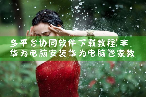 多平台协同软件下载教程|P站专业版