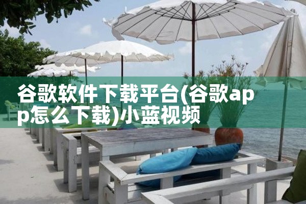 谷歌软件下载平台|小蓝视频