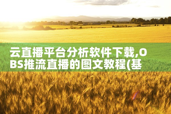 云直播平台分析软件下载|MR好色
