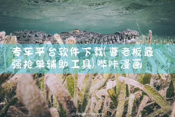 专车平台软件下载|哔咔漫画