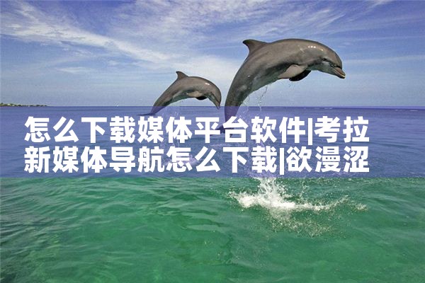 怎么下载媒体平台软件|欲漫涩