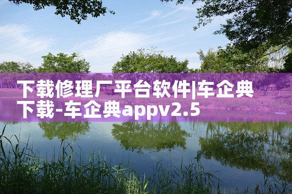 下载修理厂平台软件|P站专业版