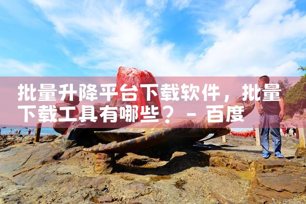 批量升降平台下载软件|糖心Vlog